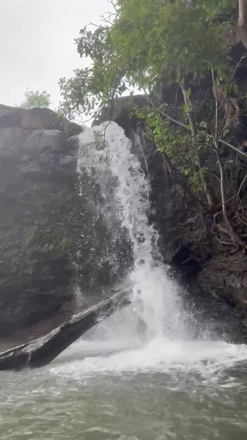 The fall dropping into its rock pool